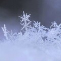 写真: 一昨年の写真から　雪の結晶
