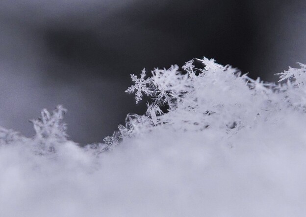 写真: 一昨年の写真から　雪の結晶