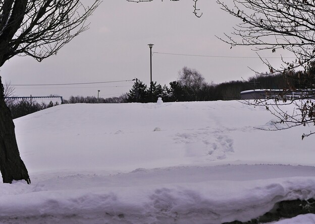写真: クリニック帰り、雪だるま発見
