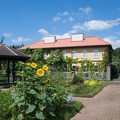 写真: 10花菜ガーデン【チャペックの家とヒマワリ】
