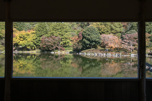 写真: 15昭和記念公園【日本庭園：池周辺の紅葉】5