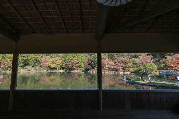 写真: 23昭和記念公園【日本庭園：陽昌から見る紅葉】1