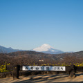 写真: 01吾妻山公園【この日の富士山】