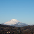 写真: 12吾妻山公園【富士山のアップ】