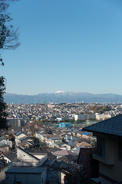 02朝のウォーキング【市ケ尾遺跡公園付近から見た富士山】