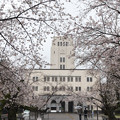 Photos: 03東工大の桜【キャンパス本館前の桜並木】2