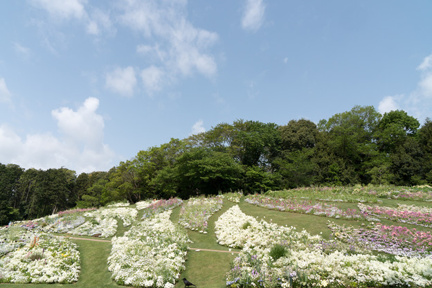 03里山ガーデン【大花壇の眺め】2