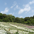 写真: 04里山ガーデン【大花壇の眺め】3