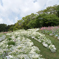 06里山ガーデン【大花壇の眺め】5