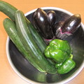 写真: 採れた野菜