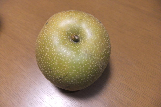 家で採れた梨を頂きました