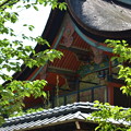 写真: 御香宮神社　DSC_0466