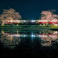 Photos: 飯給夜桜