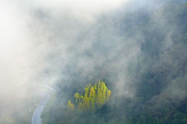 Photos: 汽笛さえ隠る山霧霧を見る