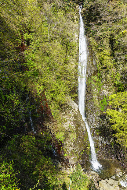 写真: 酒水の滝 観瀑台