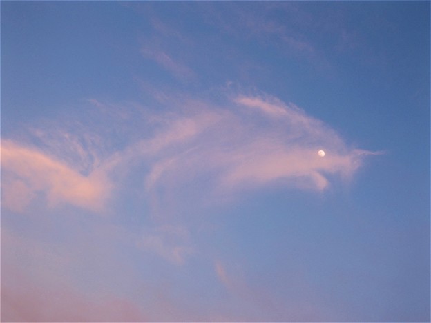 写真: 雲のおさかな !!