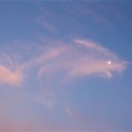 Photos: 雲のおさかな !!