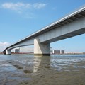 Photos: 多摩川スカイブリッジ