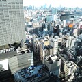 歌舞伎町タワーからの眺め