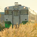 写真: 2021年10月10日　小湊鐵道