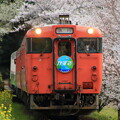 写真: 2024年4月8日　小湊鐵道