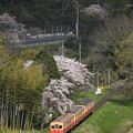 写真: 2024年4月13日　小湊鐵道