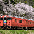 写真: 2024年4月13日　小湊鐵道