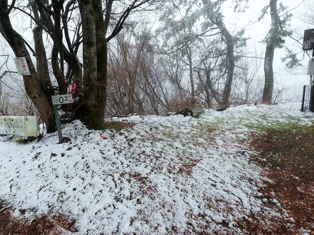 写真: 和泉葛城山の雪