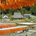Photos: 串柿作りの山里