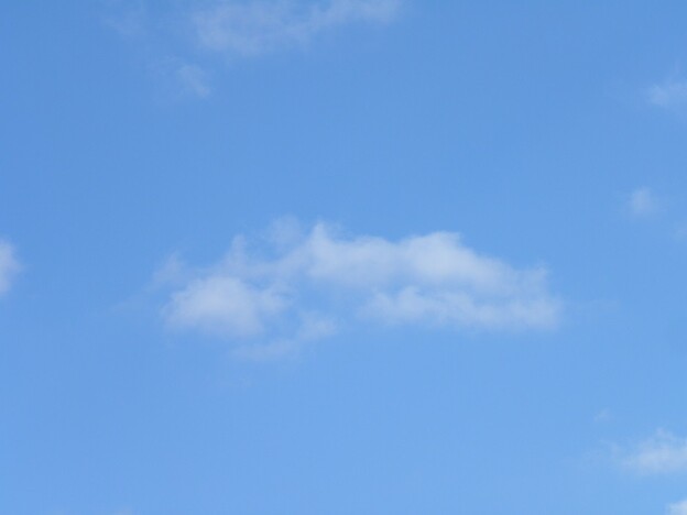 写真: おうい雲よ