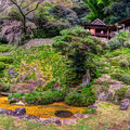 写真: 臨済寺 庭園　(特別公開　2021年10月15日)