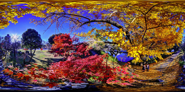 写真: 駿府城公園　紅葉 360度パノラマ写真