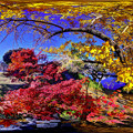 駿府城公園　紅葉 360度パノラマ写真