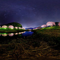 南伊豆町下賀茂 みなみの桜 夜桜ライトアップ 360度パノラマ写真