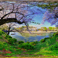 駿府城公園 つつじ小径　桜　360度パノラマ写真(1)