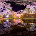 高遠城址公園 夜桜、堀の水鏡 360度パノラマ写真