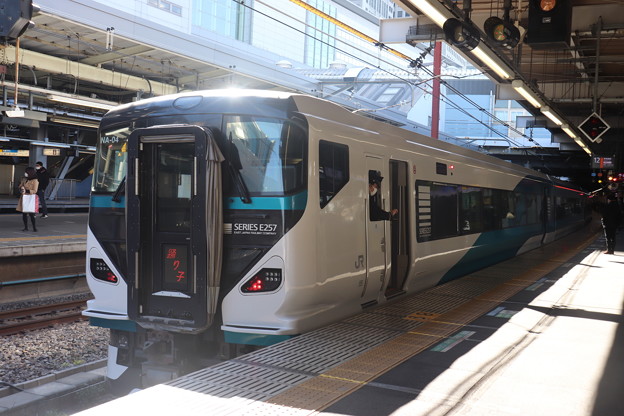東海道線　E257系2000番台NA-04編成　踊り子　（2）
