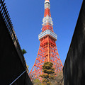 Photos: 東京鐵塔