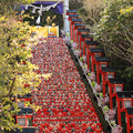 Photos: 雛壇神社