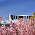 Photos: Spring Train