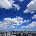 Photos: Shibuya Sky