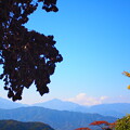 高尾山から見た景色