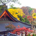 秋の寺院