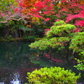 紅葉の池