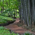 写真: 竹の小径