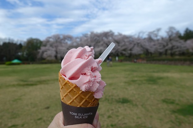 Photos: 桜のソフトクリーム