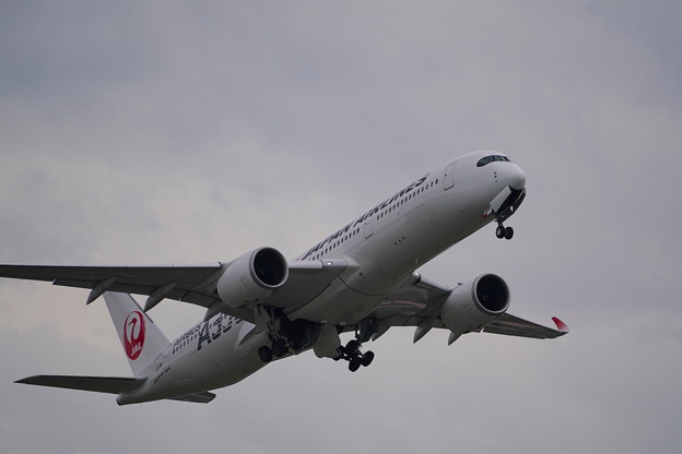 写真: A350 伊丹　　2021/04/03