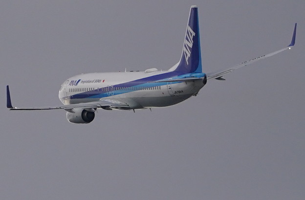 写真: Boeing737    伊丹出発　4月3日