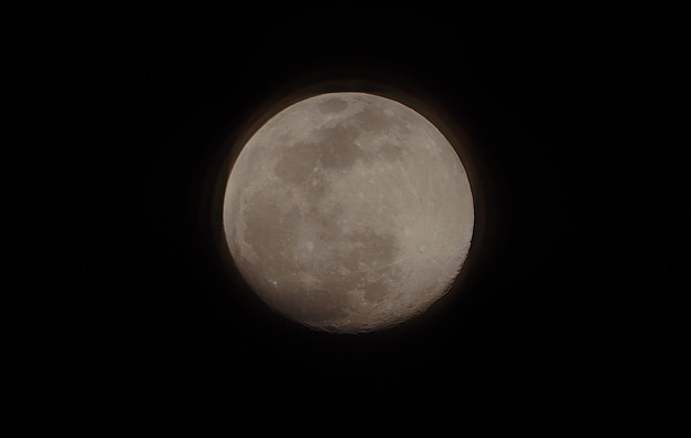 写真: お月さん（月齢13.4)