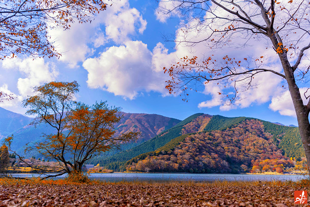 Photos: 秋が降り積もる湖畔